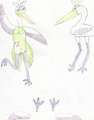 Yu Ame Tai Reference