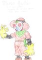 Disney Junction (season 3)-The time Eater