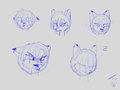 [SKT] Kiara’s Expression Practice