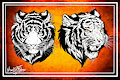 Flash Tattoo desings: animals