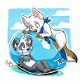 Panda in a balloon