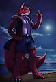 [C] Beach Night