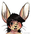 A cute bunny boy