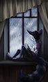 Raindrops on my Windowsill