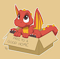 A Shorty Dragon