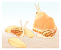 Achatina albopicta