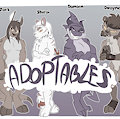 *ADOPTABLES*_Male hybrids
