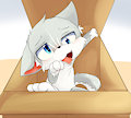 A Wolf in a Box by WolfeMan