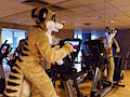 Exercise after sauna