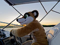 Boaty