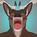 Spruce Maw!