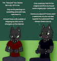 Joel and Joel by Immelmann
