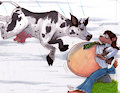 ... Ralph swallowed a Cow...
