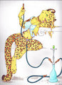 Hookah Kitty (on furbuy) by SoraSlipheed