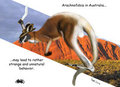 Arachnophobia in Australia