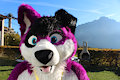 Happy Fursuit Friday by Pawalo