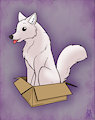 A Wolf in a Box