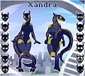 *C*_Xandra's sheet