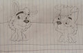 Brucie And Sammy's Bathtime