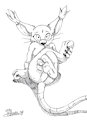 Gato-Paws