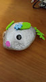 Pet Rock - Mouse Plant