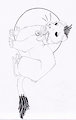 For a friend_1