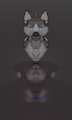 JayCub
