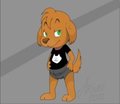arineu new design
