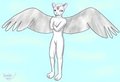 Winged Cat