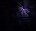 Apeiron / Aigaion