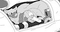 Patreon Rewards: Bagged Squirrel