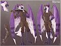 *C*_The purple jay