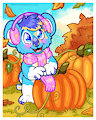 Pumpkin Patch