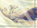 Fly Free