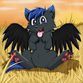 Commission: Field Wuff