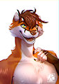 WereFox's Bust