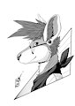 Ink-Profile N°40:John the Kangaroo