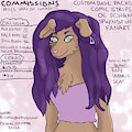Commission Info by RisingDawnDesign