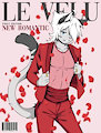 LE VELU (COVER)