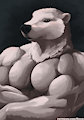 Polar Bear by Shiuk