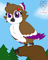 behold Owl