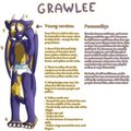 Grawlee ref - Kid/baby