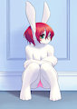 Rabbit Girl