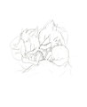 31 Days December Challenge: Day 16- Spooning