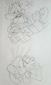 Plucky + Bunnies by Stickyickysmut