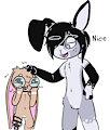 Pets!