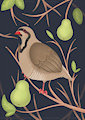 Partridge & Pear
