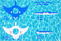 Manta Ray Swim Ring Design