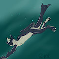 Polas Swimming