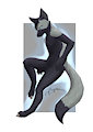 Fullbody Silver by Seigaku